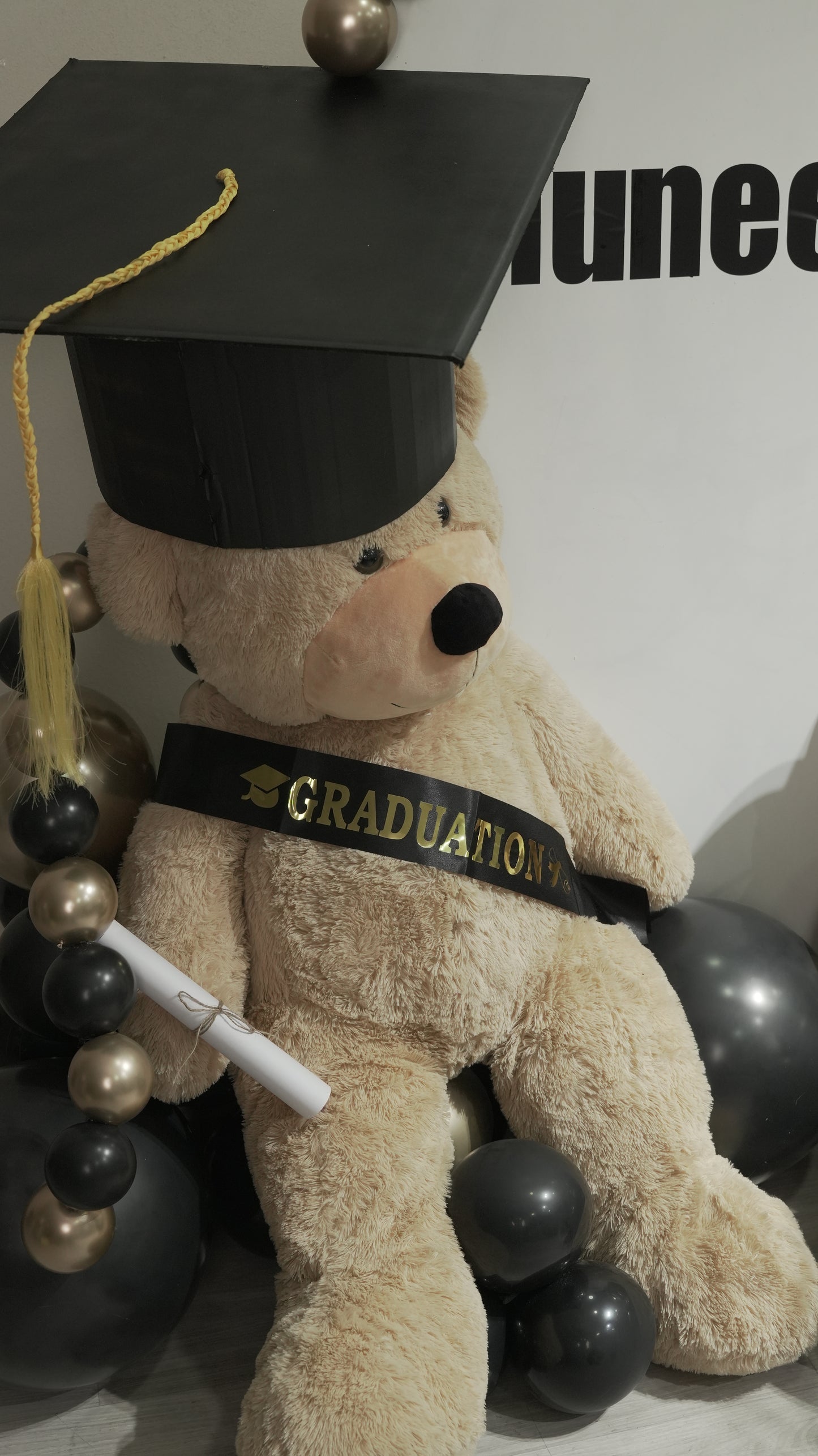Graduation balloon & teddy bears backdrop