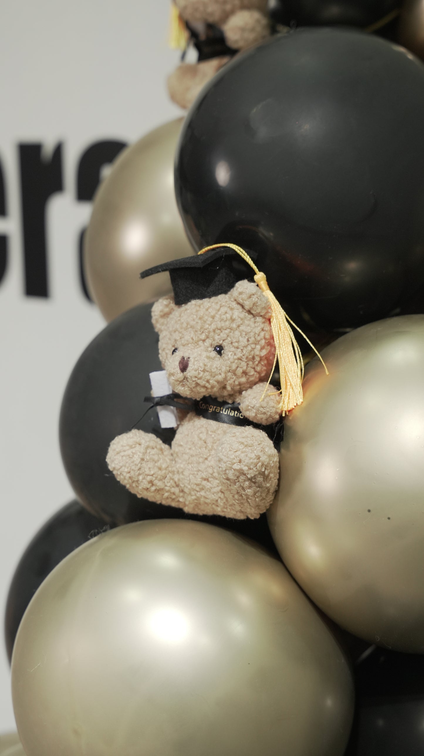 Graduation balloon & teddy bears backdrop