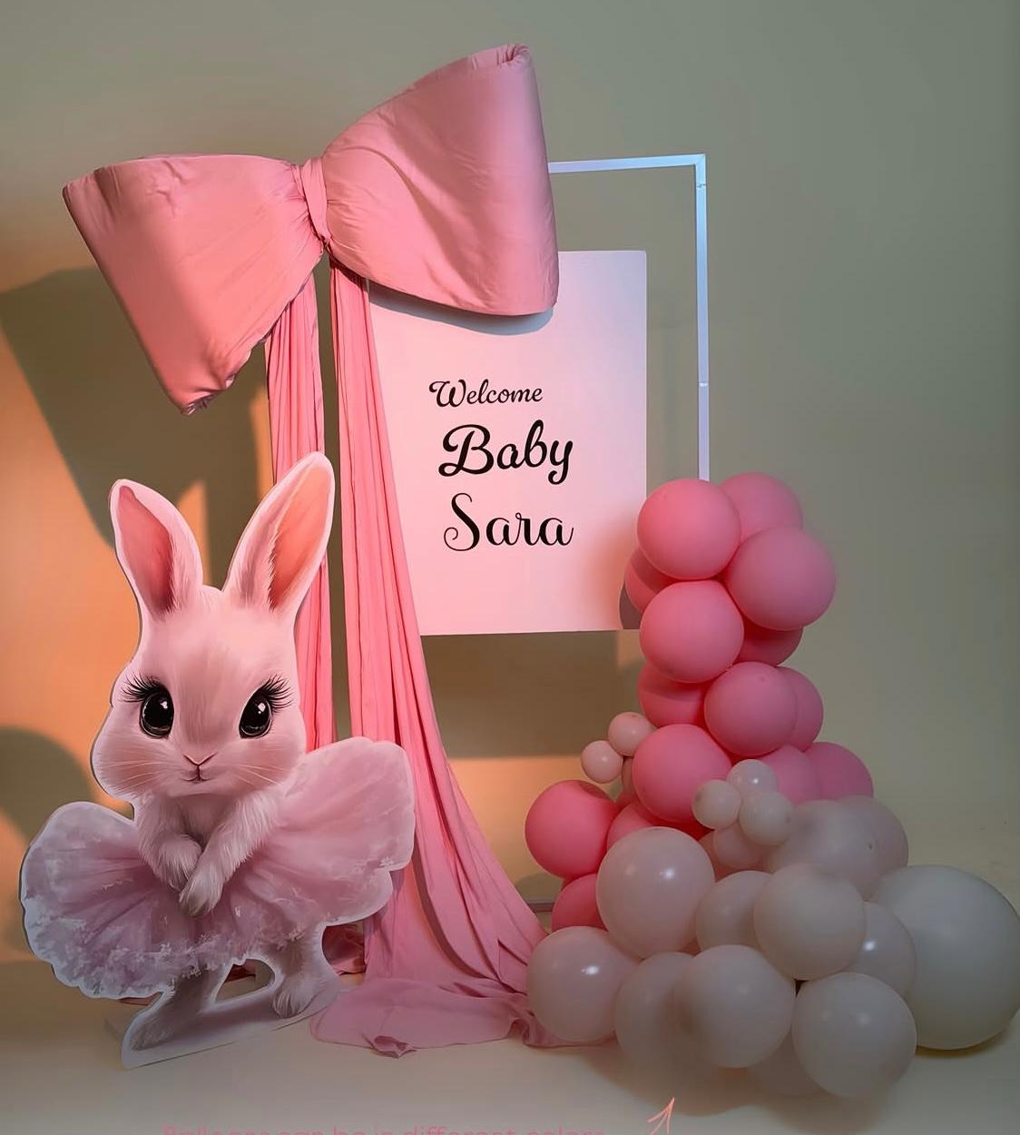 Welcome Baby Set Up Pink