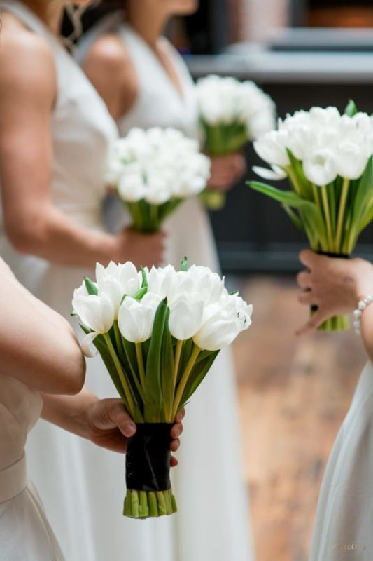 Bridal Tulips