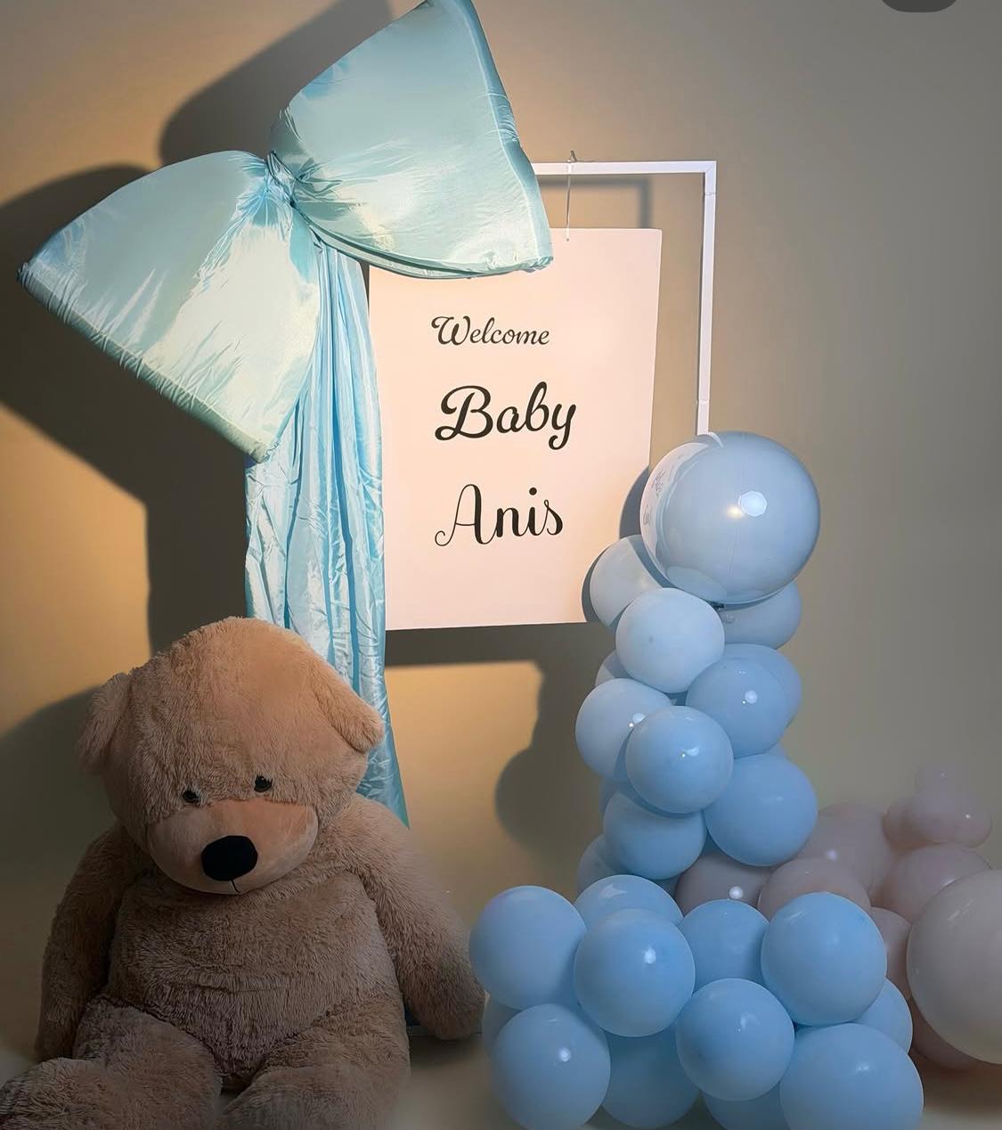 Welcome Baby Set Up Blue