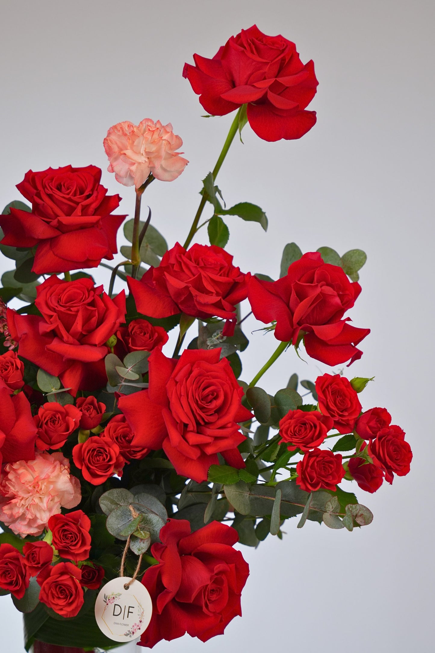 Grand Red Elegance